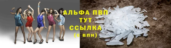 твердый Алзамай