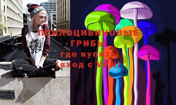 метадон Алексин