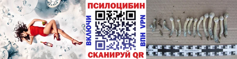 Галлюциногенные грибы Psilocybe  Спасск 